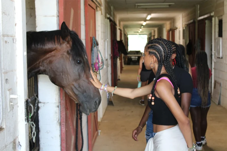 A girl pets a horse's nose in the barn